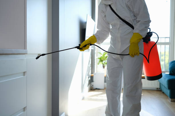 Best Kitchen Mold Remediation in Richmond, CA